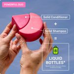 EVERYDAY SHINE Shampoo Bar